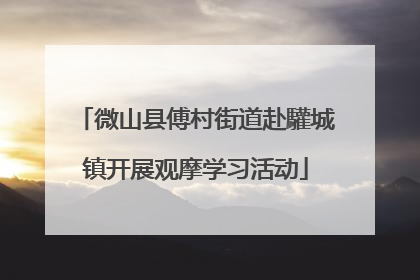 微山县傅村街道赴驩城镇开展观摩学习活动