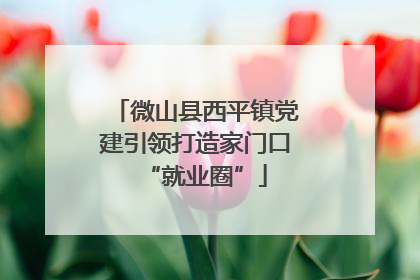 微山县西平镇党建引领打造家门口“就业圈”
