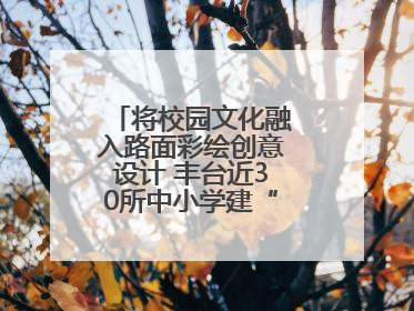将校园文化融入路面彩绘创意设计 丰台近30所中小学建“彩色学安路”