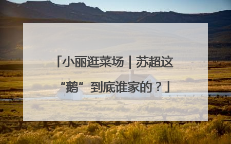 小丽逛菜场｜苏超这“鹅”到底谁家的？
