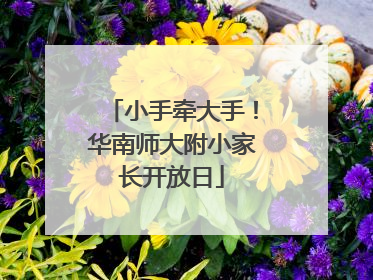 小手牵大手！华南师大附小家长开放日