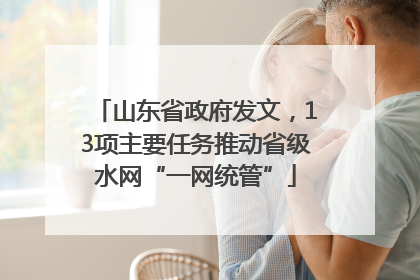 山东省政府发文，13项主要任务推动省级水网“一网统管”