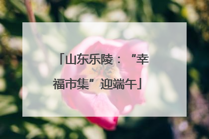 山东乐陵：“幸福市集”迎端午