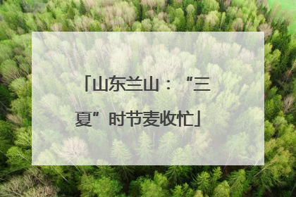 山东兰山：“三夏”时节麦收忙