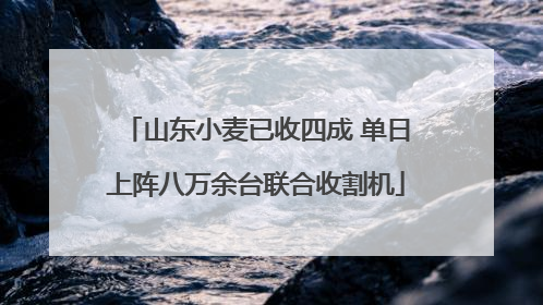 山东小麦已收四成 单日上阵八万余台联合收割机