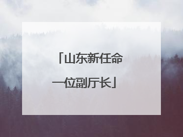 山东新任命一位副厅长