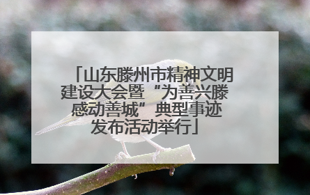 山东滕州市精神文明建设大会暨“为善兴滕 感动善城”典型事迹发布活动举行