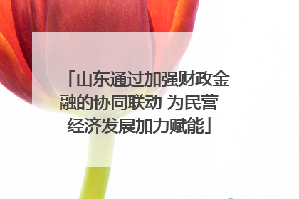 山东通过加强财政金融的协同联动 为民营经济发展加力赋能