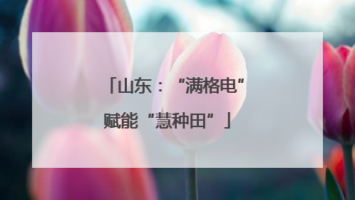 山东：“满格电”赋能“慧种田”