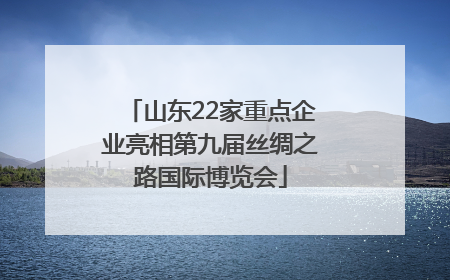 山东22家重点企业亮相第九届丝绸之路国际博览会