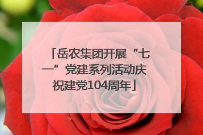 岳农集团开展“七一”党建系列活动庆祝建党104周年