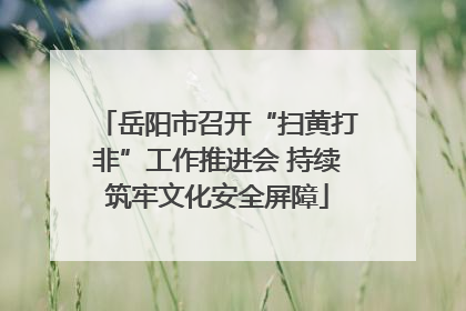 岳阳市召开“扫黄打非”工作推进会 持续筑牢文化安全屏障