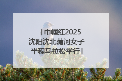 巾帼红2025沈阳沈北蒲河女子半程马拉松举行