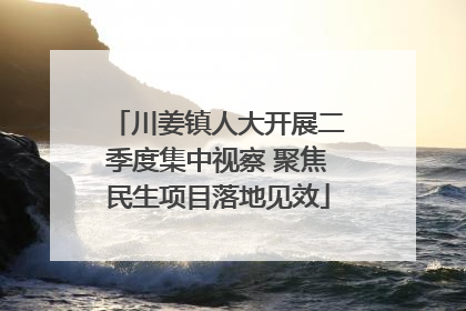 川姜镇人大开展二季度集中视察 聚焦民生项目落地见效