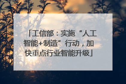 工信部：实施“人工智能+制造”行动，加快重点行业智能升级
