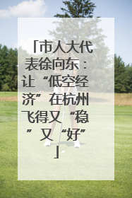 市人大代表徐向东：让“低空经济”在杭州飞得又“稳”又“好”