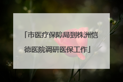 市医疗保障局到株洲恺德医院调研医保工作