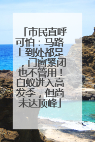 市民直呼可怕：马路上到处都是，门窗紧闭也不管用！白蚁进入高发季，但尚未达顶峰