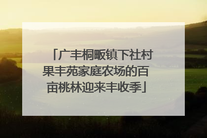 广丰桐畈镇下社村果丰苑家庭农场的百亩桃林迎来丰收季