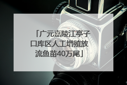 广元嘉陵江亭子口库区人工增殖放流鱼苗40万尾
