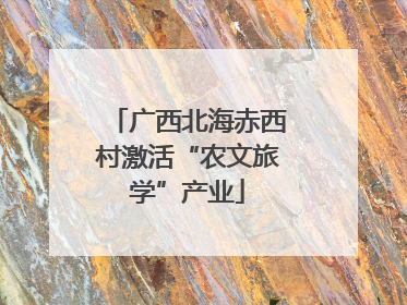 广西北海赤西村激活“农文旅学”产业