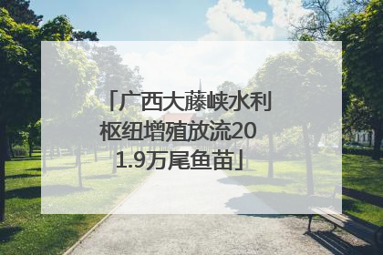 广西大藤峡水利枢纽增殖放流201.9万尾鱼苗