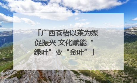 广西苍梧以茶为媒促振兴 文化赋能“绿叶”变“金叶”