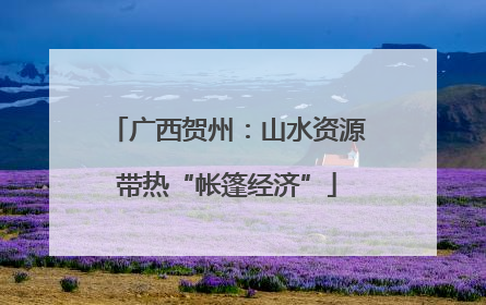 广西贺州：山水资源带热“帐篷经济”