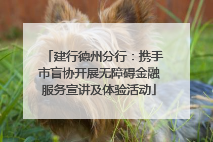 建行德州分行：携手市盲协开展无障碍金融服务宣讲及体验活动