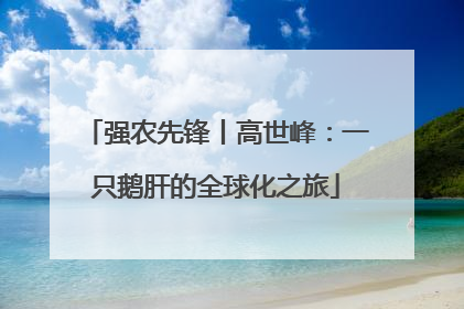 强农先锋丨高世峰：一只鹅肝的全球化之旅