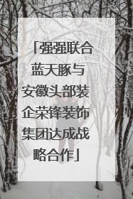 强强联合 蓝天豚与安徽头部装企荣锋装饰集团达成战略合作