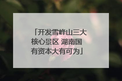 开发雪峰山三大核心景区 湖南国有资本大有可为