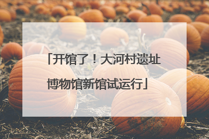 开馆了！大河村遗址博物馆新馆试运行