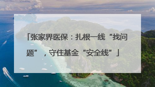 张家界医保：扎根一线“找问题”，守住基金“安全线”