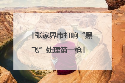 张家界市打响“黑飞”处理第一枪