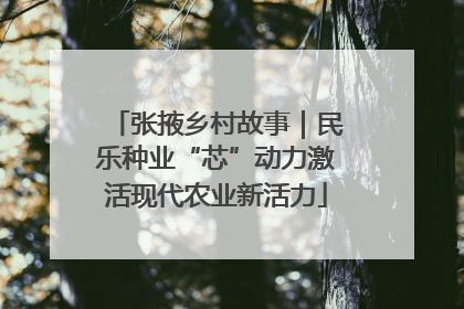 张掖乡村故事｜民乐种业“芯”动力激活现代农业新活力