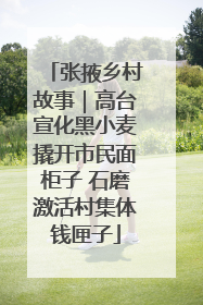 张掖乡村故事｜高台宣化黑小麦撬开市民面柜子 石磨激活村集体钱匣子