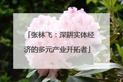 张林飞：深耕实体经济的多元产业开拓者
