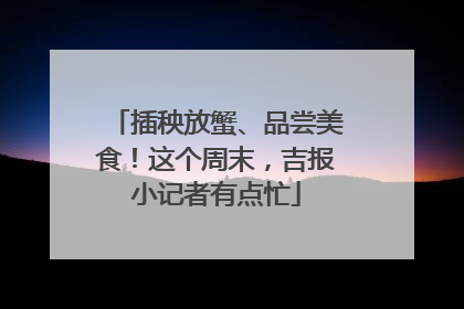 插秧放蟹、品尝美食！这个周末，吉报小记者有点忙