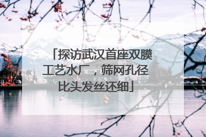 探访武汉首座双膜工艺水厂，筛网孔径比头发丝还细