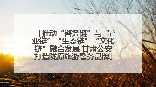 推动“警务链”与“产业链”“生态链”“文化链”融合发展 甘肃公安打造陇原旅游警务品牌