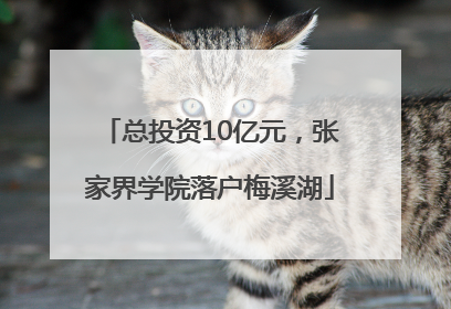 总投资10亿元，张家界学院落户梅溪湖