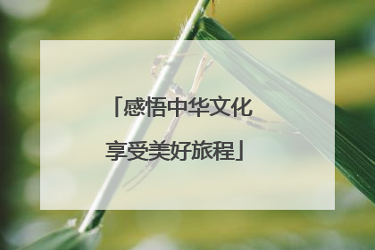 感悟中华文化 享受美好旅程