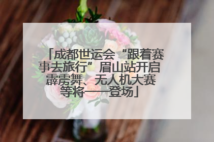 成都世运会“跟着赛事去旅行”眉山站开启 霹雳舞、无人机大赛等将一一登场