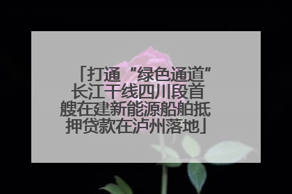 打通“绿色通道” 长江干线四川段首艘在建新能源船舶抵押贷款在泸州落地