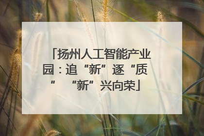 扬州人工智能产业园：追“新”逐“质” “新”兴向荣