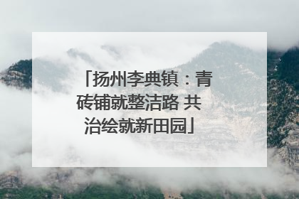 扬州李典镇：青砖铺就整洁路 共治绘就新田园