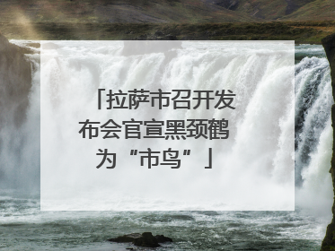 拉萨市召开发布会官宣黑颈鹤为“市鸟”