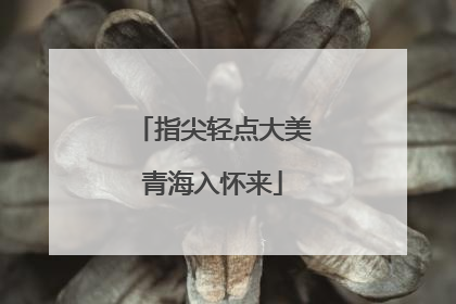 指尖轻点大美青海入怀来