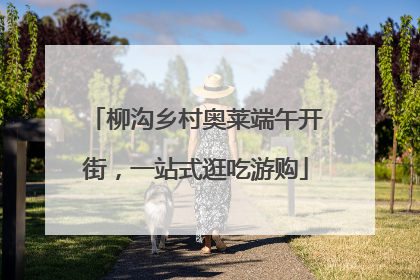 柳沟乡村奥莱端午开街，一站式逛吃游购